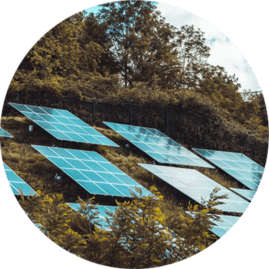 Building Science Consulting